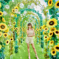 mmexport1624159564360-5de78e82